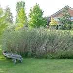 Ruegenblick